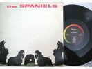 SPANIELS RARE LP ON VEE JAY 1024
