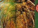 LP DZYAN:time machine(1973);ORIG.ProgKrautrock/UNPLAYED