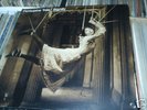 (prog/psych)PORCUPINE TREE-SIGNIFY LTD 2 LP SET