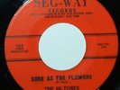 Doo Wop 45 Hi Tones on Seg Way 