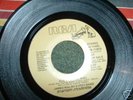 JAMES WALSH GYPSY BAND, CUZ IT'S YOU GIRL ON RCA