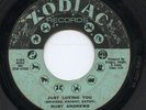 Ruby Andrews-Just Loving You-Northern Soul 45-Hear It