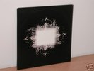 Tool - Aenima - very rare vinyl LP - A Perfect Circle