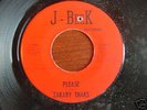 Rare Texas Garage 45   Zakary Thaks on J-Beck