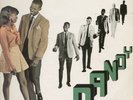 giant LP:DANDY-rock steady with dandy