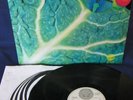 Catapilla Changes D Vertigo Swirl Spiral LP