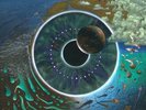 Pink Floyd Pulse LP BOX SET