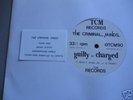 CRIMINAL MINDS-GUILTY AS CHARGED 12
