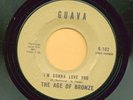 Northern Soul  45 RPM The Age Of Bronze on Guava 102