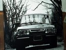 rare SLINT tweez 1st PRESS LP poster  TORTOISE papa m
