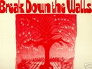 BREAK DOWN THE WALLS rare  xian psych prog krautrock
