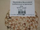 DEVENDRA BANHART- REJOICING /NINO ROJO DBLE LP(500 ONLY