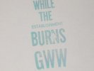 BOB DYLAN GWW while the establishment burns TMOQ PURPLE