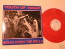 Youth of today- break down the walls SxE NYCH rare red