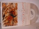 LITFIBA/DIAFRAMMA:AMSTERDAM-VINILE TRASPARENTE