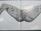 Pink Floyd M502 (Obscene cover) vinyl bootleg