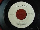 Rare Teen  Doo Wop 45  The Runarounds on Hyland