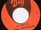 Rare Miami Funk - Jimmy Bo Horne - Hey There Jim - Dig