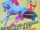 2 x Splendour in the Grass - 3 Day Camping Pass