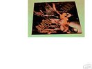 AMON DUUL LP PSYCHEDELIC UNDERGROUND METRONOME MINT OG