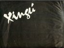 EL COMBO XINGU LP PSYCH LATIN JAZZ FUNK FROM CHILE 1972