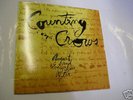 COUNTING CROWS - AUGUST & EVERYTHING AFTER - LP