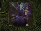 Hum 'Downward is Heavenward' LP