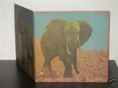 FOOD BRAIN/Social Gathering Japan heavy psych