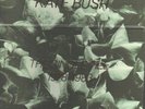 Kate Bush THE SINGLE FILE 1978-1983 vinyl box set 7
