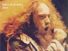 JETHRO TULL 