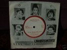 LENNY AND THE LAWBREAKERS RIP OFF RECORDS, RARE PUNK 7