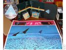 PINK FLOYD DARK SIDE OF THE MOON  1ST PRESS NEAR MINT