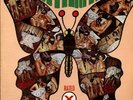 Rare Miami Funk LP BUTTERFLY on Weird World