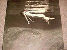 BILL EVANS 