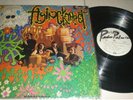 THE FLYING KARPETS  SOFT PSYCHE RARE-  LP  COLOMBIA