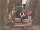 HAWKWIND/ELO/CANNED HEAT Thailand 7