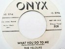 Doo Wop - The VELOURS 