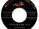 Northern Soul 45 SAPPHIRES Gonna Be A Big Thing