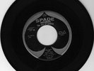 Rare Rockabilly -Vern Pullens - Spade M -