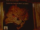 Black Cat Bones-Barbed Wire Sandwich- Super Rare Psych