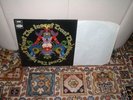 INSECT TRUST The Insect Trust 1969 1st Press STUNNING
