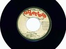 RARE 70s ROOTS- FISHER MAN - LEE PERRY & THE CONGOES 7