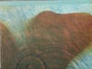 Floyd Meddle SEALED Mofi 1/2 Speed lp PINK FLOYD MFSL