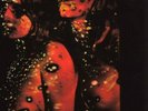 THINK Variety LP Amber Soundroom 1973 kraut prog psych