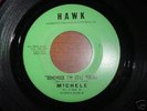 Rare Teen Doo Wop  45    Michele on Hawk