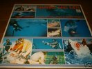*Shark and Man (Daniele Patucchi Japan Issue)*