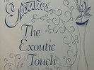 THE EXOUTICS - Rare Soul/Funk Group LP