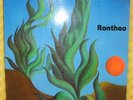 RONTHEO PRIVATE KRAUT ACID FOLK PSYCH LP