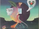 NICK DRAKE PINK MOON LP - UK first pressing - excellent
