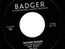 Monster 1958 WI rockabilly 45 - KEN DAVIS - Badger #250